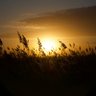 Sonnenaufgang 💫 🇪🇺!'s profile picture