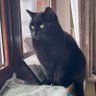 Thomas's profile picture