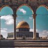 fatih toker's profile picture