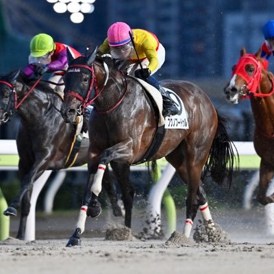 福田真広厩舎 / 大井競馬場小林分場's profile picture