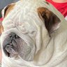 Kurg3n's profile picture