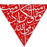 إسلام محمد Adil profil fotoğrafı