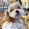Thury_vii's profile picture