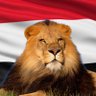 Lion field Yemeni 的头像