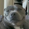 Rouge's profile picture