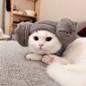 鸡蛋仔 profil fotoğrafı
