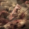 Фото профиля Mohamed Laaribi