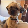 Pablo14's profile picture