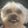 MyBella's profile picture