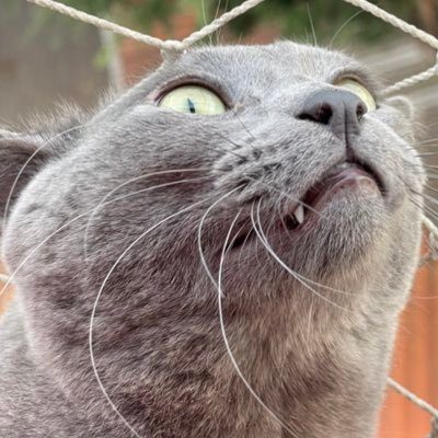 ybe's profile picture
