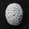 Фото профиля BrainOS