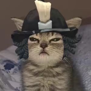 ๋ถ์ฃผ๋จน๊ณฝํ๊ตฌ's profile picture