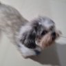 Helo Leme 🩺 profil fotoğrafı