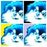 Yeontan-re-united profil fotoğrafı