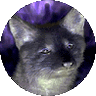 Nitefox 💢's profile picture