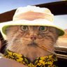 Borsique😺 的头像