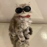 S profil fotoğrafı