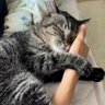 さるきち 的头像
