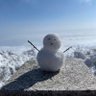 lijin profil fotoğrafı