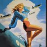 Pilot Wife's profile picture