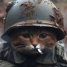 APOCALYPSE MEOW 的头像