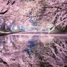 Фото профиля naru♂