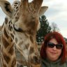 Renee Wendt's profile picture