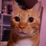 Profilbild von Kasumi🧸We need Dion's DLC with Terence