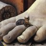 dontreadonmeow 的头像