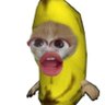 ๐Guarapo๐'s profile picture