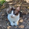 maria 🌈 profil fotoğrafı