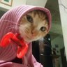 gurl's profile picture