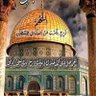 mahmood Amer's profile picture
