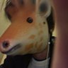 シュレッダー 的头像