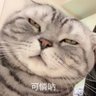 陳宵(男的)'s profile picture