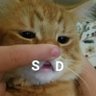 Rafatans's profile picture
