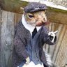 Squirrely 🐿's profile picture