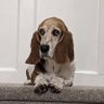 Carolina Crypto's profile picture