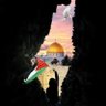 Profilbild von Ahmed Sobhy