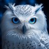 L₳₿rinhio profil fotoğrafı