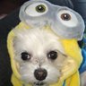 中村雅己(実名へ戻しました) profil fotoğrafı