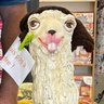 Profilbild von theworldsgonemad