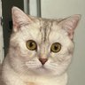 G's profile picture