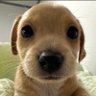 Manu's profile picture