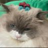 Profilbild von sunny