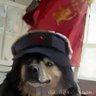 AK-47 122 (autistic version)'s profile picture