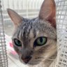 Фото профиля う〜ちゃん