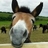 mule funk profil fotoğrafı