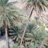 Profilbild von احمد البرهومي