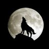 رقبان's profile picture